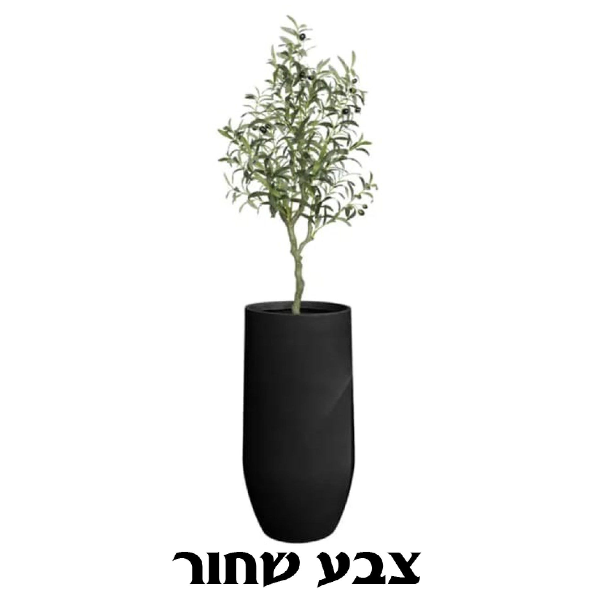 כד הידרה כולל עץ זית