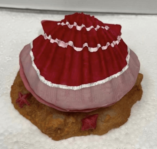 ‏דקורציה קונכיה עם חמצן ופנינה