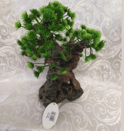 ‏דקורציה גזע עץ 30 ס״מ