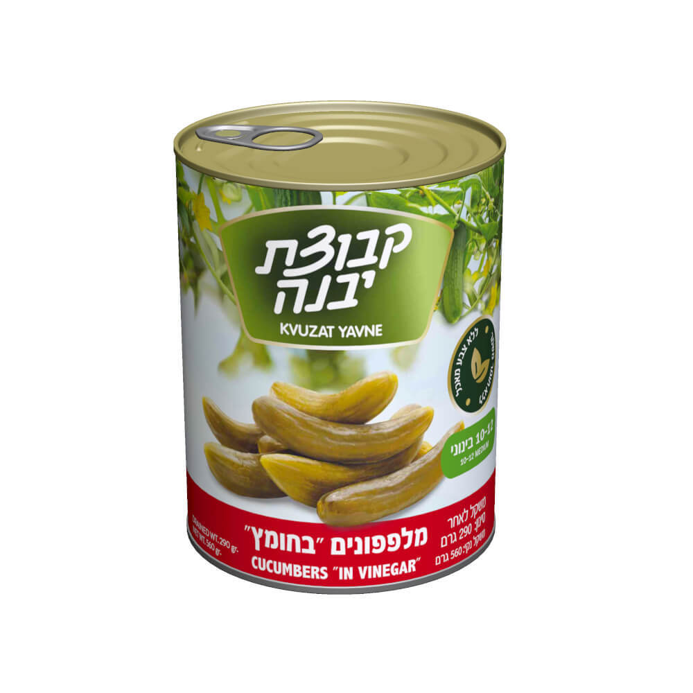 מלפפונים בינוניים בחומץ