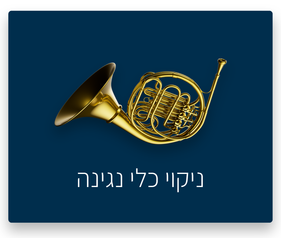 ניקוי כלי נגינה