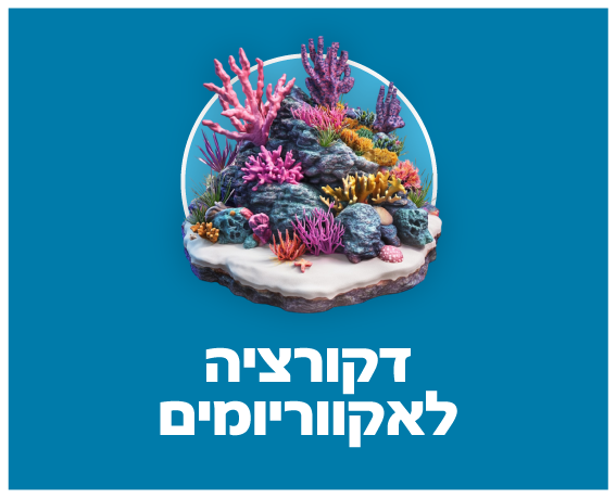 דקורציה לאקווריומים