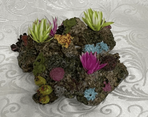 ‏דקורציה אלמוג צבעוני 20/17 ס״מ