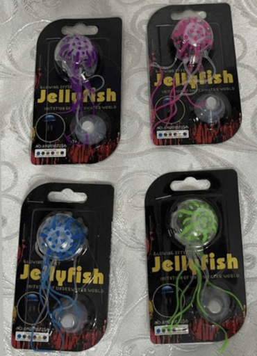 ‏מדוזה קטנה