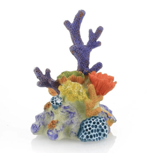 דקורציה אלמוג 10/14 ס״מ