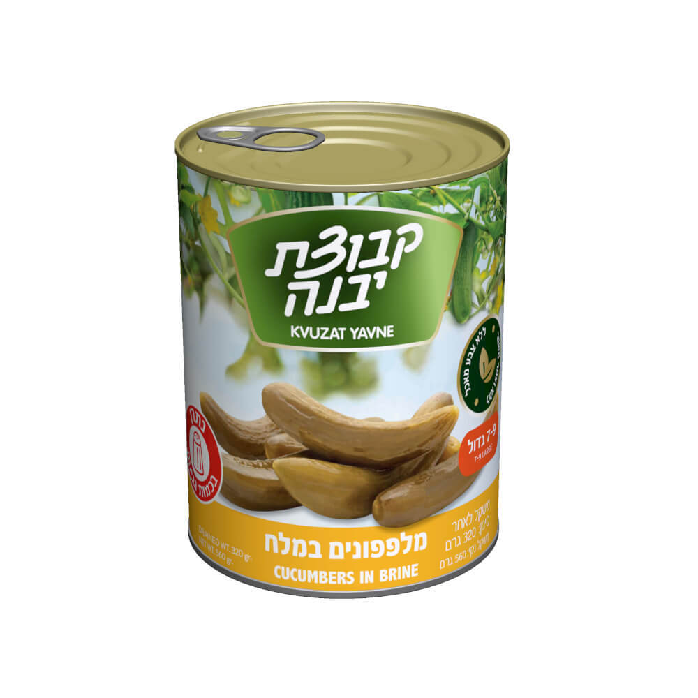 מלפפונים במלח
