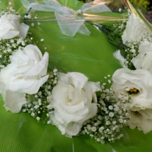 כתר לבן טהור