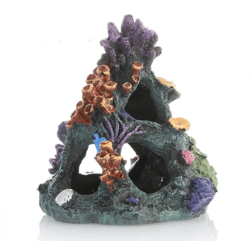 דקורציה אלמוג 12/15 ס״מ