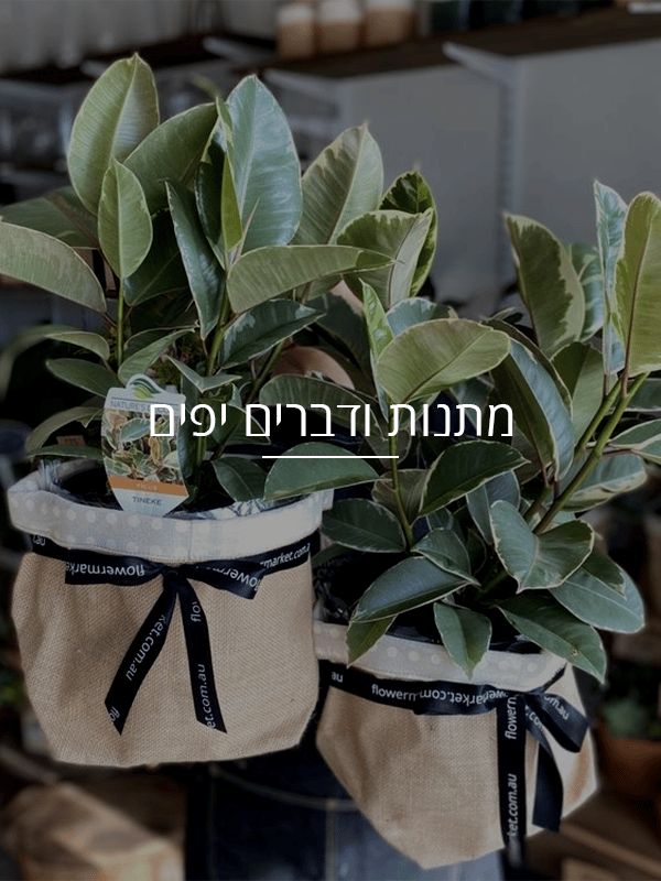 מתנות ודברים יפים