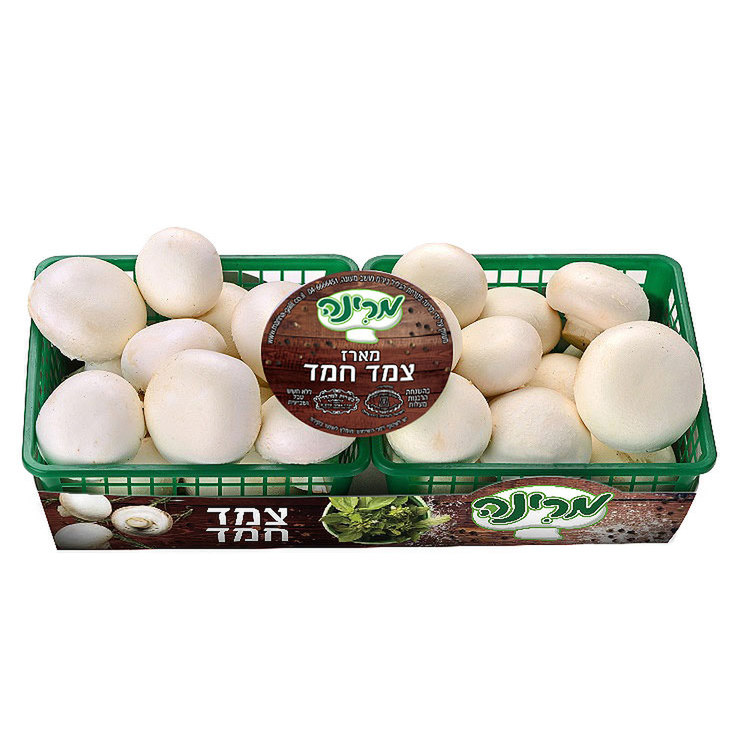 פטריות מארז