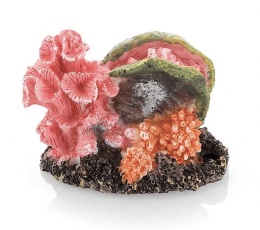 דקורציה אלמוג 8/6 ס״מ