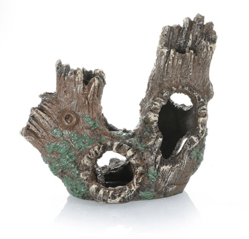 ‏דקורציה גזע 15/14 ס״מ