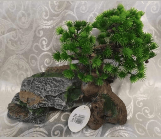 ‏דקורציה גזע עץ 25/30 ס״מ