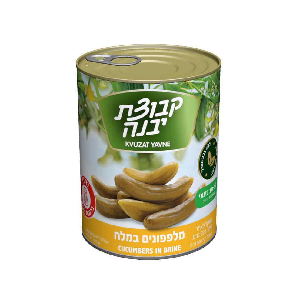 מלפפונים בינוניים במלח