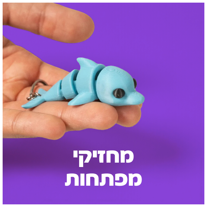 מחזיקי מפתחות