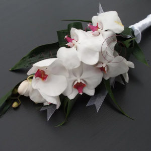 זר סחלב נשפך