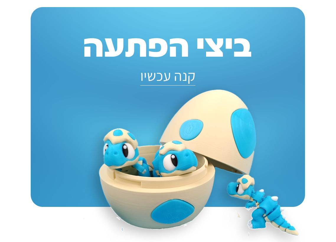 ⁨ביצי הפתעה FLEXI ⁩