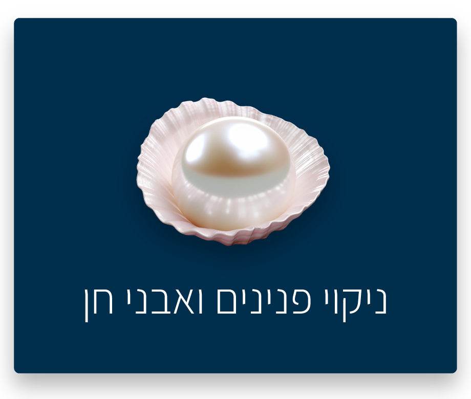 ניקוי פנינים ואבני חן
