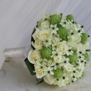 מיקס ורדים ונץ חלב