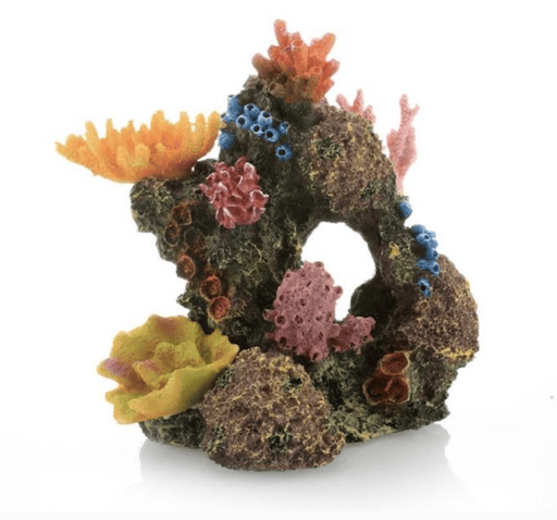 דקורציה אלמוג 16/16 ס״מ