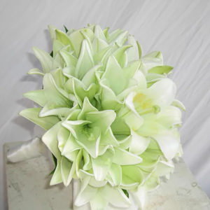 זר שושן צחור