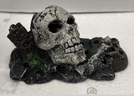 ‏דקורציה גולגולת עם סלע