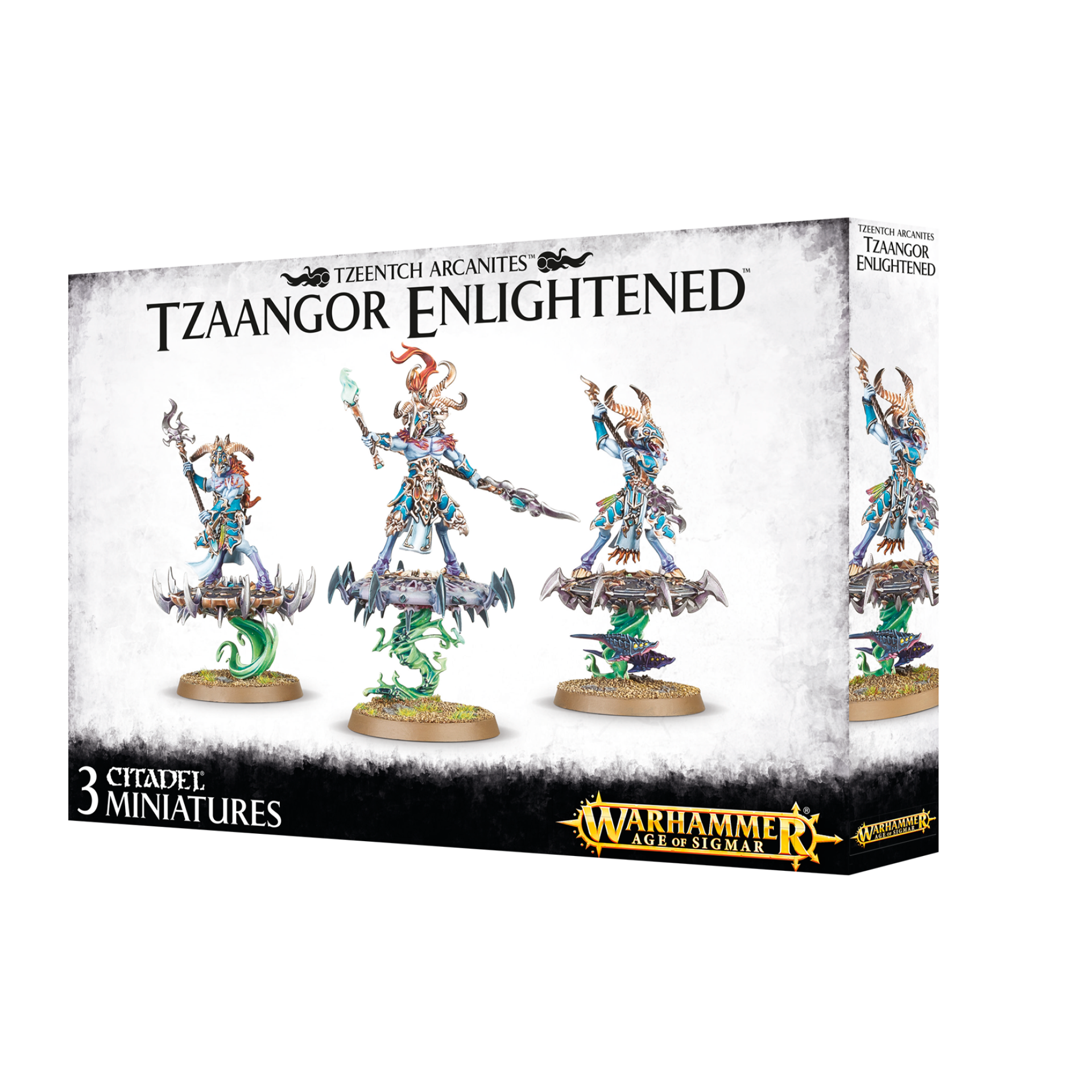 TZAANGOR ENLIGHTENED