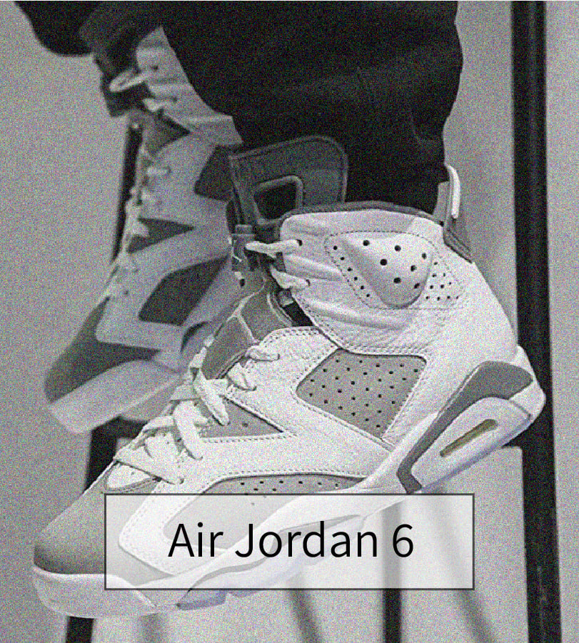 Air Jordan 6