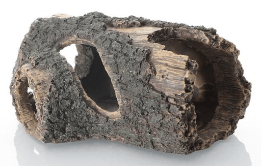 ‏דקורציה גזע 14/9 ס״מ