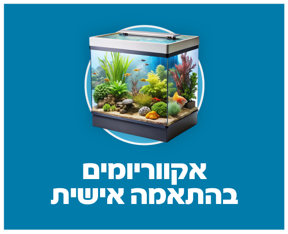 אקווריומים בהתאמה אישית