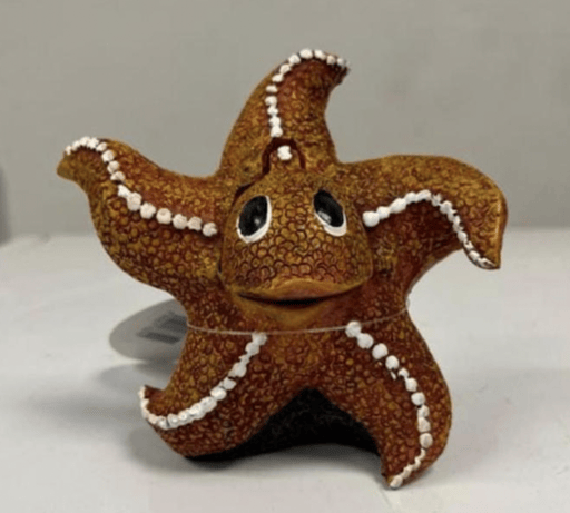 ‏דקורציה כוכב ים עם חמצן