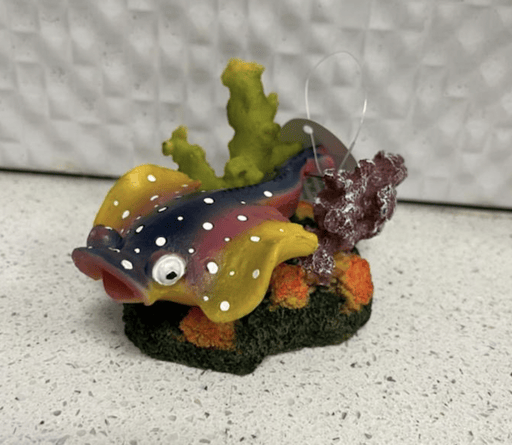 ‏דקורציה חתול ים צבעוני עם חמצן 12,5 ס״מ