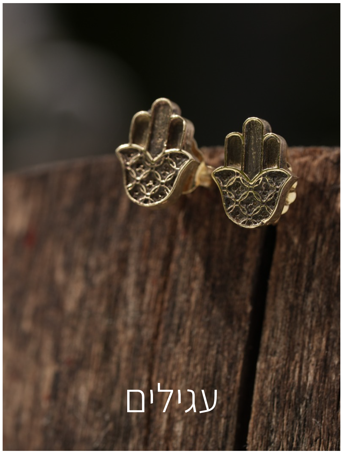 עגילים