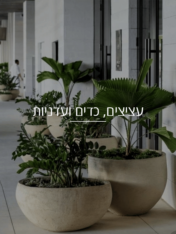 עציצים כדים ועדניות