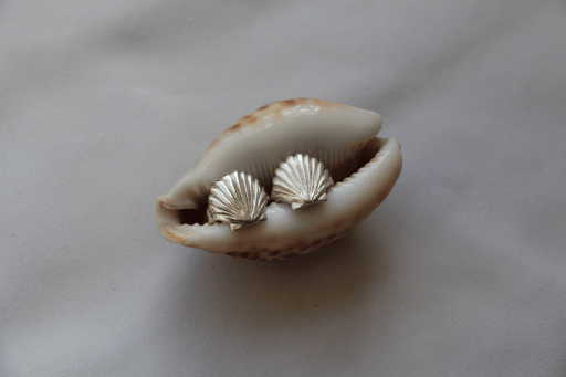 SHELL WE RING