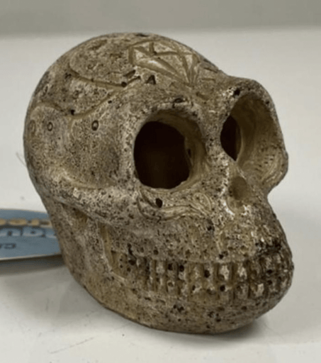 ‏דקורציה גולגולת 8/6 ס״מ