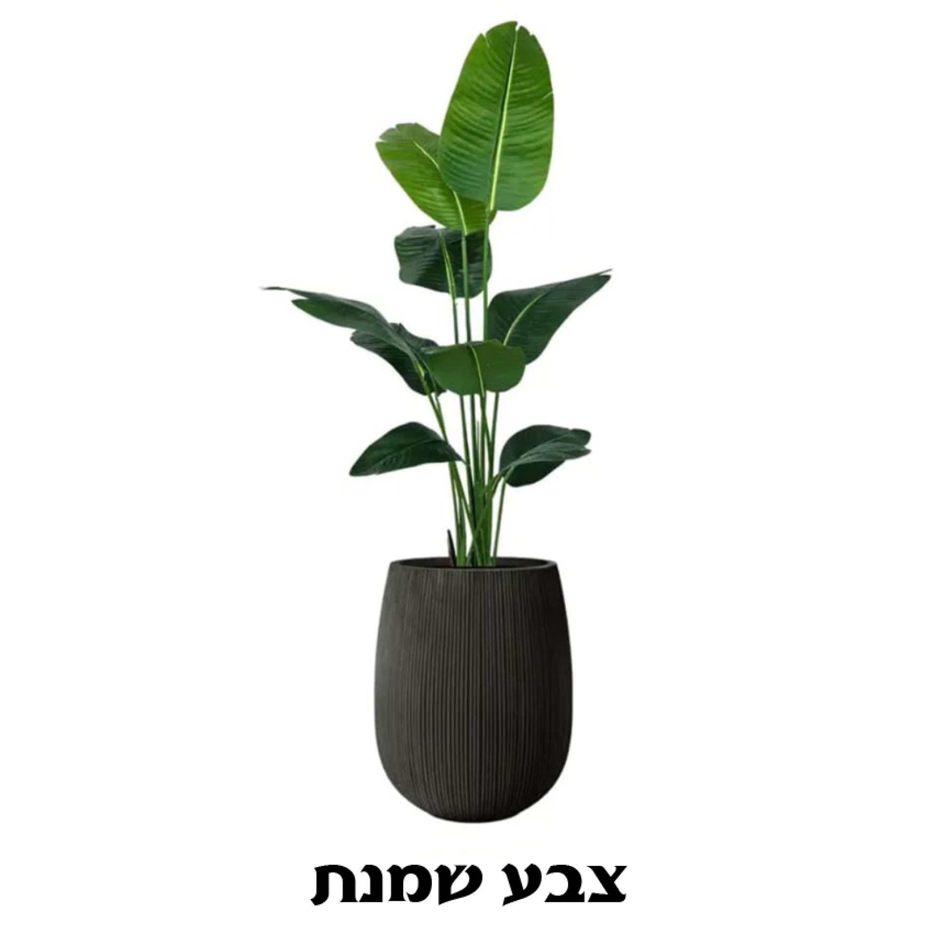 כד נקסוס כולל עץ ציפור גן עדן