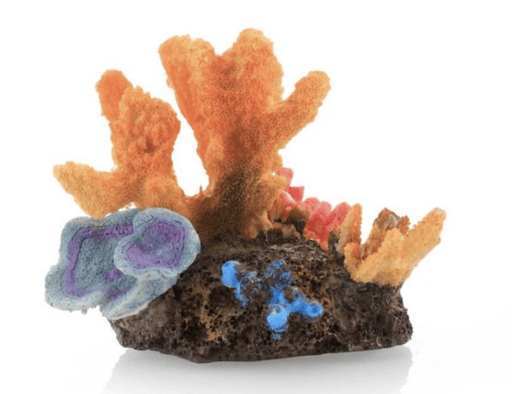 דקורציה אלמוג 12/10 ס״מ