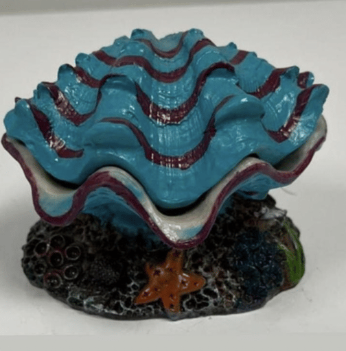 ‏דקורציה קונכיה תכלת