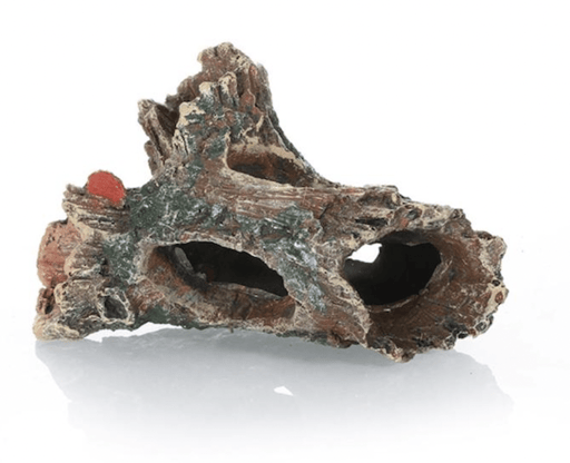 ‏דקורציה גזע 15/9 ס״מ