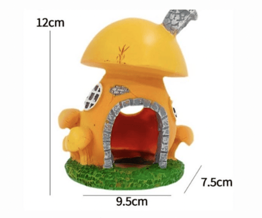 ‏דקורציה הבית של בובספוג - פטריה