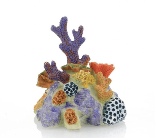 דקורציה אלמוג 10/9 ס״מ