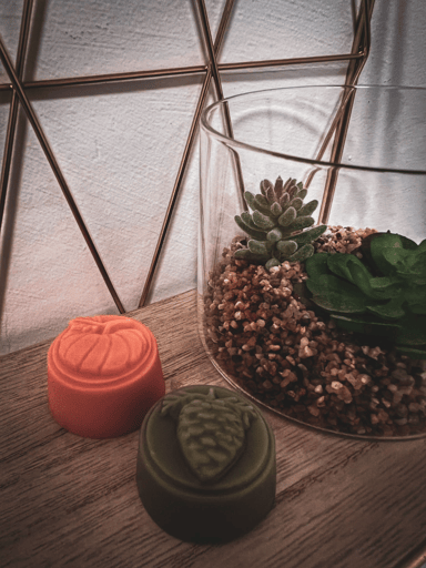 Fall-ish wax melts pack
