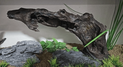 ‏דקורציה גזע מיוחד 37/21 ס״מ