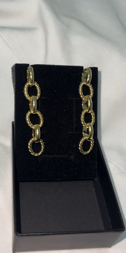 עגיל גורמט לולאות זהב