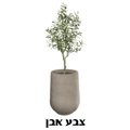 כד מילוס כולל עץ זית