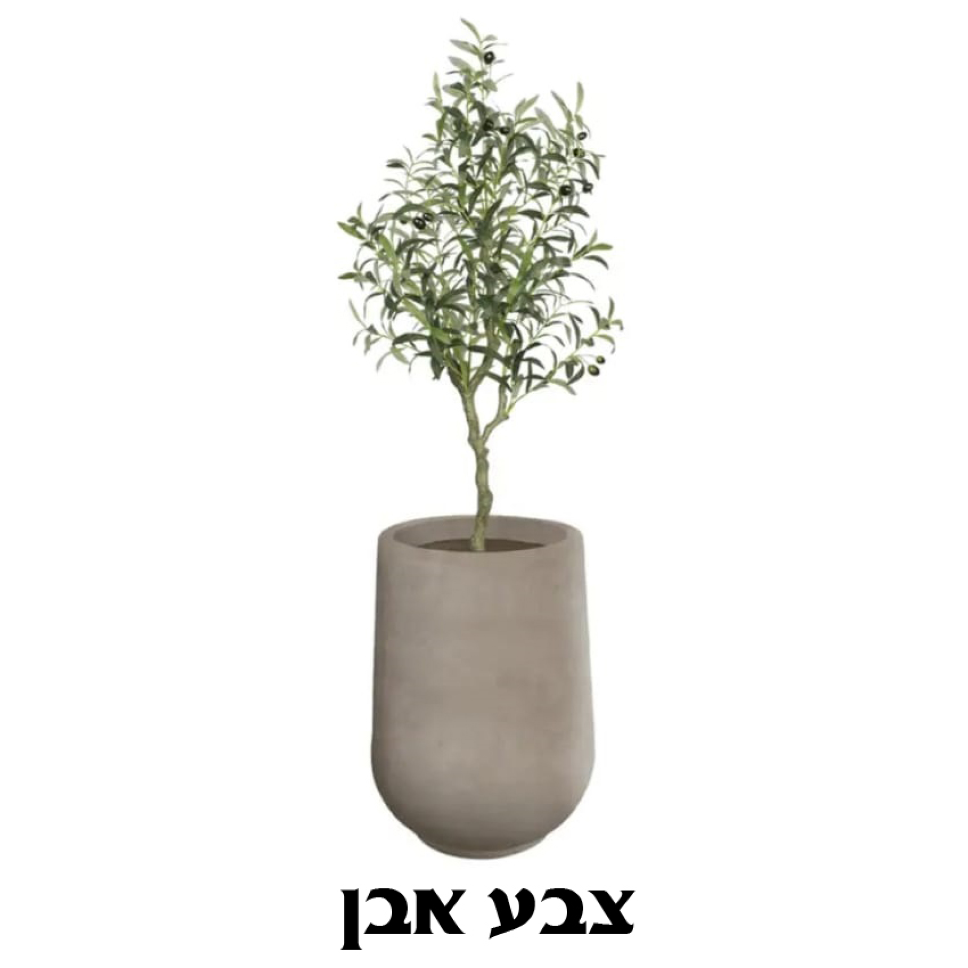 כד מילוס כולל עץ זית