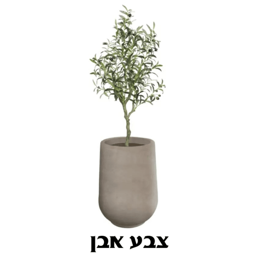 כד מילוס כולל עץ זית