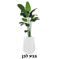 כד מילוס כולל עץ ציפור גן עדן