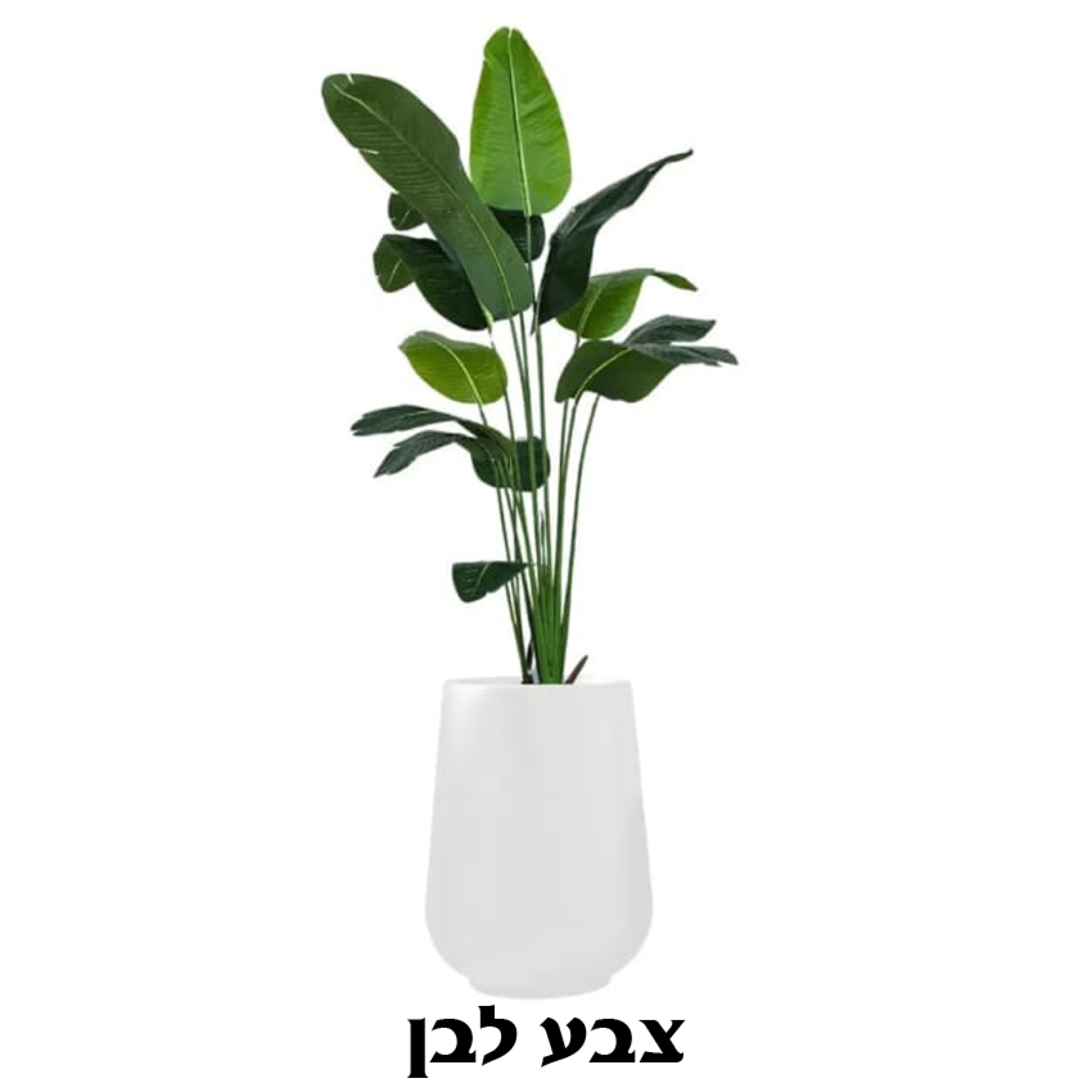 כד מילוס כולל עץ ציפור גן עדן